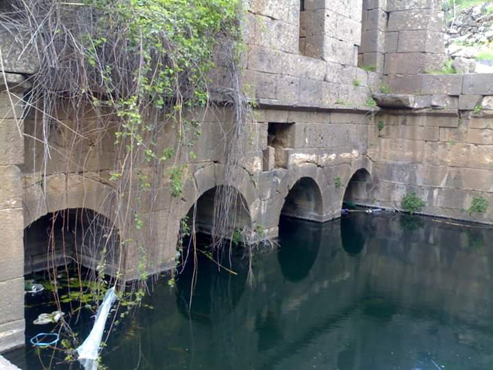 akramzarefi's tweet photo. Good times my twitter friend... Nymphee (water temple) in #Kanatha #Swida south of #Syria https://t.co/1p27ASbcPd
