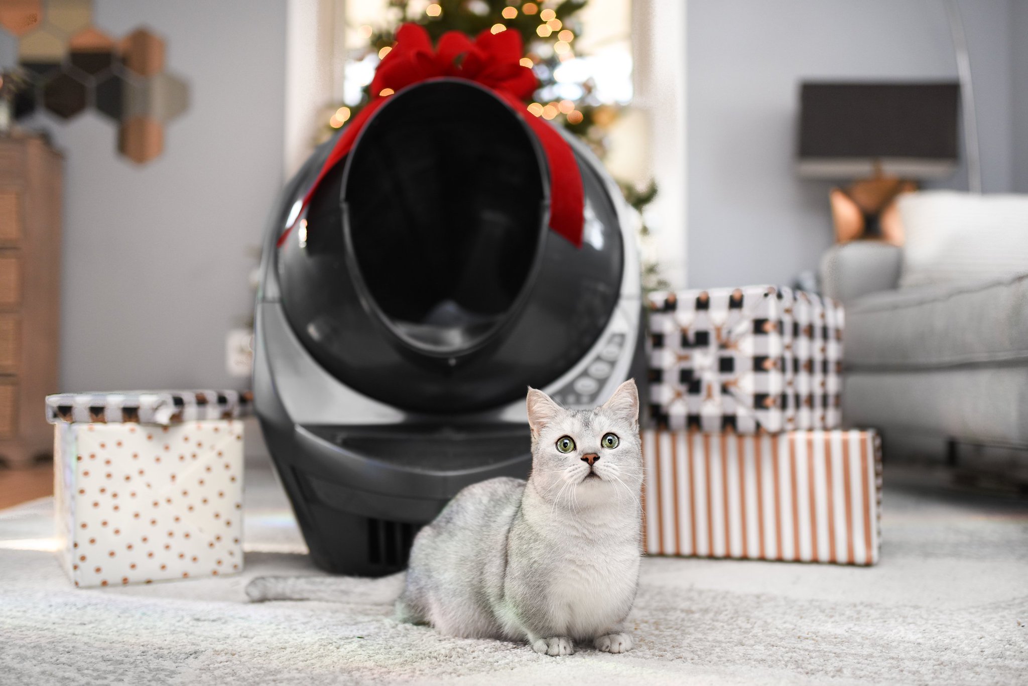 LitterRobot by Whisker on Twitter "🚨It's the LAST day to enter the