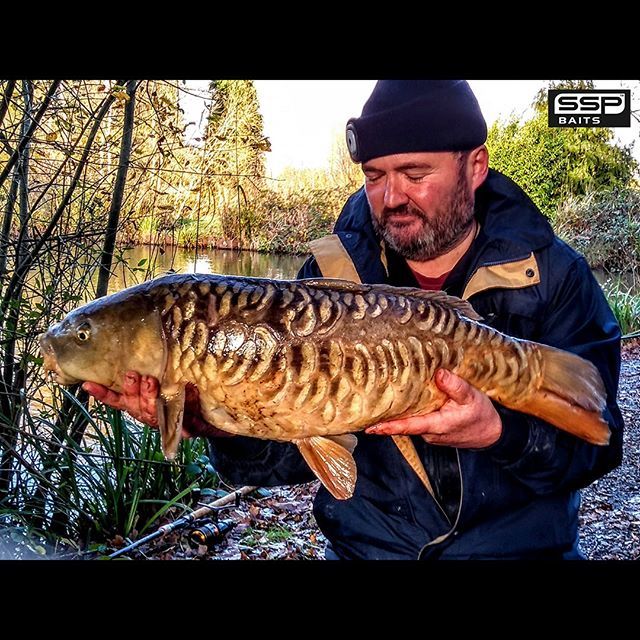 SSP Baits tweet media