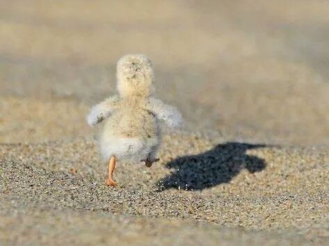 honbridgetkiiza's tweet photo. #2018HasTaughtMeTo walk away from any situations or people or things that threaten my peace of mind🏃🏃🏃 https://t.co/i9hA850NDO