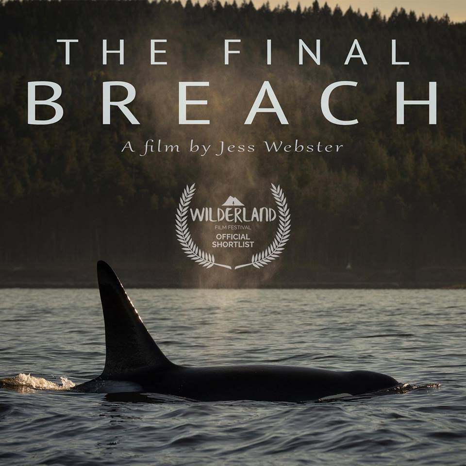 JessWebster10's tweet photo. **ANNOUNCEMENT** My short film The Final Breach is available to watch online NOW. Thanks to all who have supported this! Please share to raise awareness for the southern residents, who need us to be their voice. Watch at https://t.co/fbZqYPVf7b  #nofishnoblackfish #freethesnake https://t.co/3JjQ2vAWtX