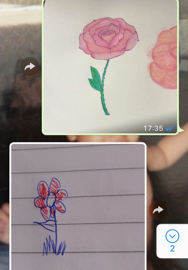 Sabrs6's tweet photo. Claramente Luís Henrique faz uma flor melhor 😍 https://t.co/5LxLDWidfi