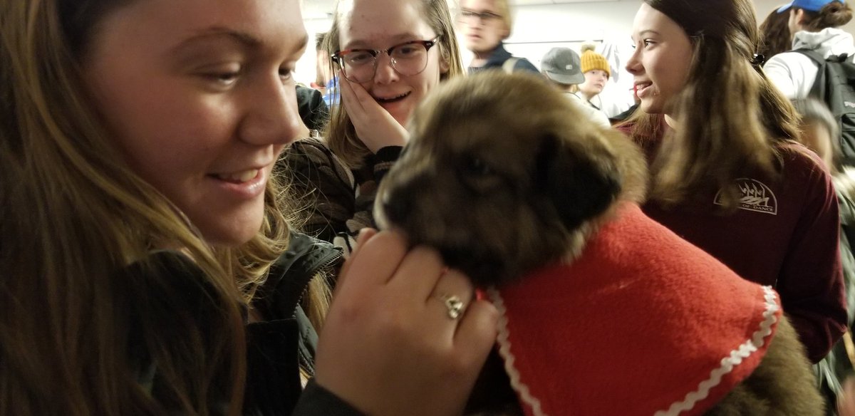 carlwbz's tweet photo. Suffolk University students got a nice break from studying for finals when members of the @RedSox showed up with puppies https://t.co/vmPZnQs3i9