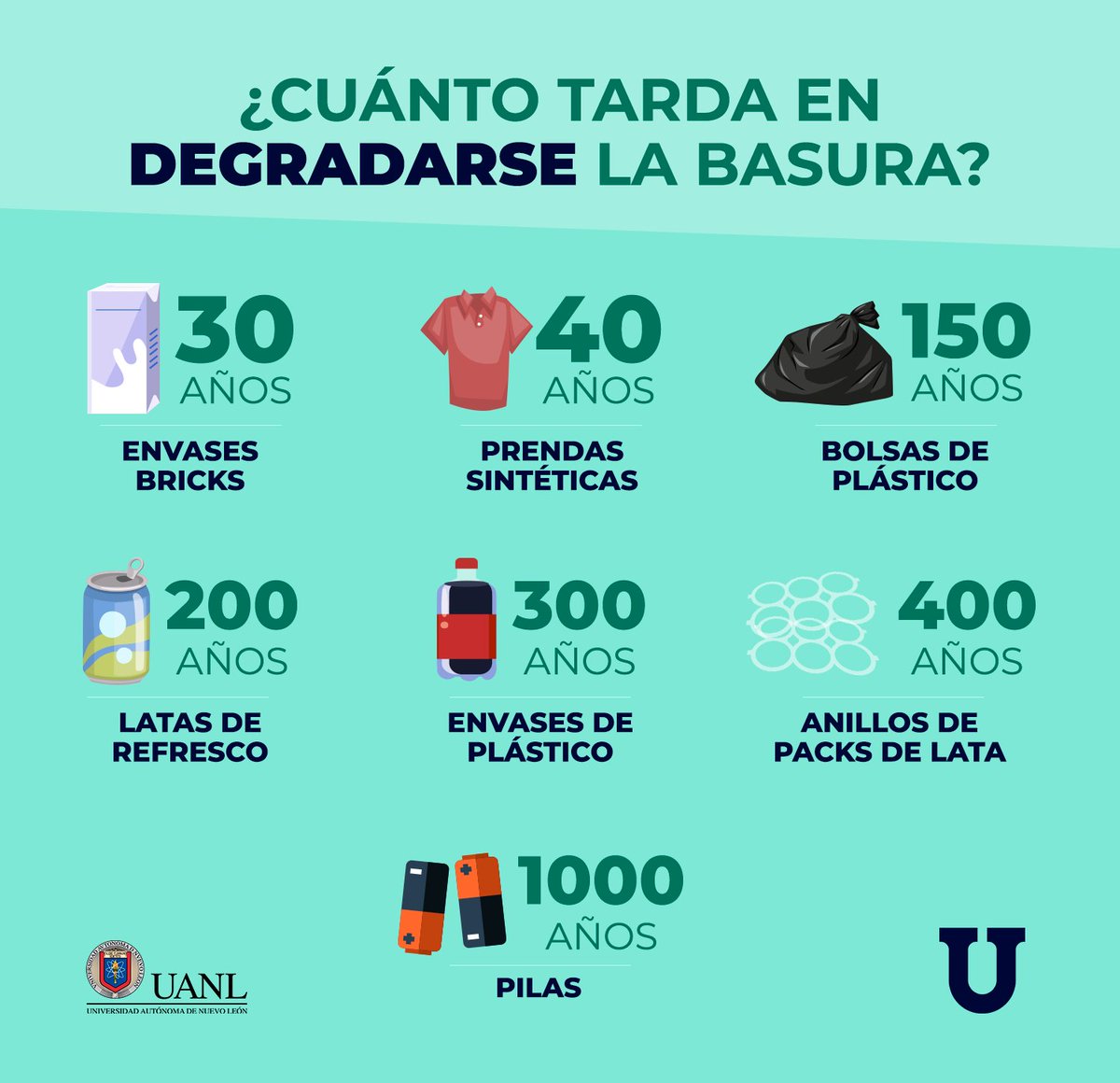 El Crecimiento De Los Dientes En Niños: ¿Cuánto Tiempo Se Tarda?