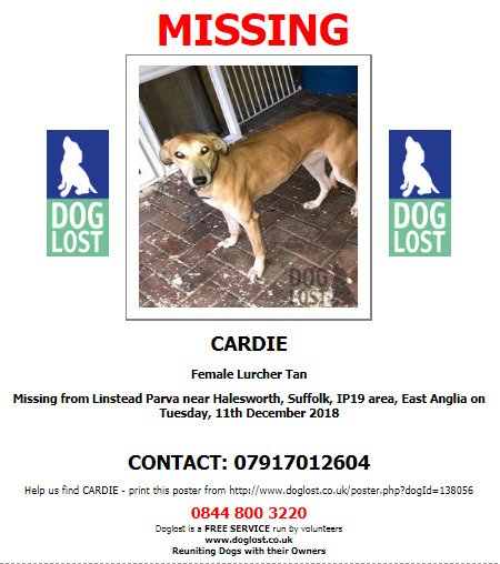 DogLostUK's tweet photo. #LOST #DOG CARDIE
Female #Lurcher Tan
#Missing from #LinsteadParva nr #Halesworth #Suffolk #IP19
Tuesday 11th December 2018
#LostDog #ScanMe @VetsGetScanning @SAMPAuk_
https://t.co/V72cnTUDci https://t.co/FA6wJkgzgu