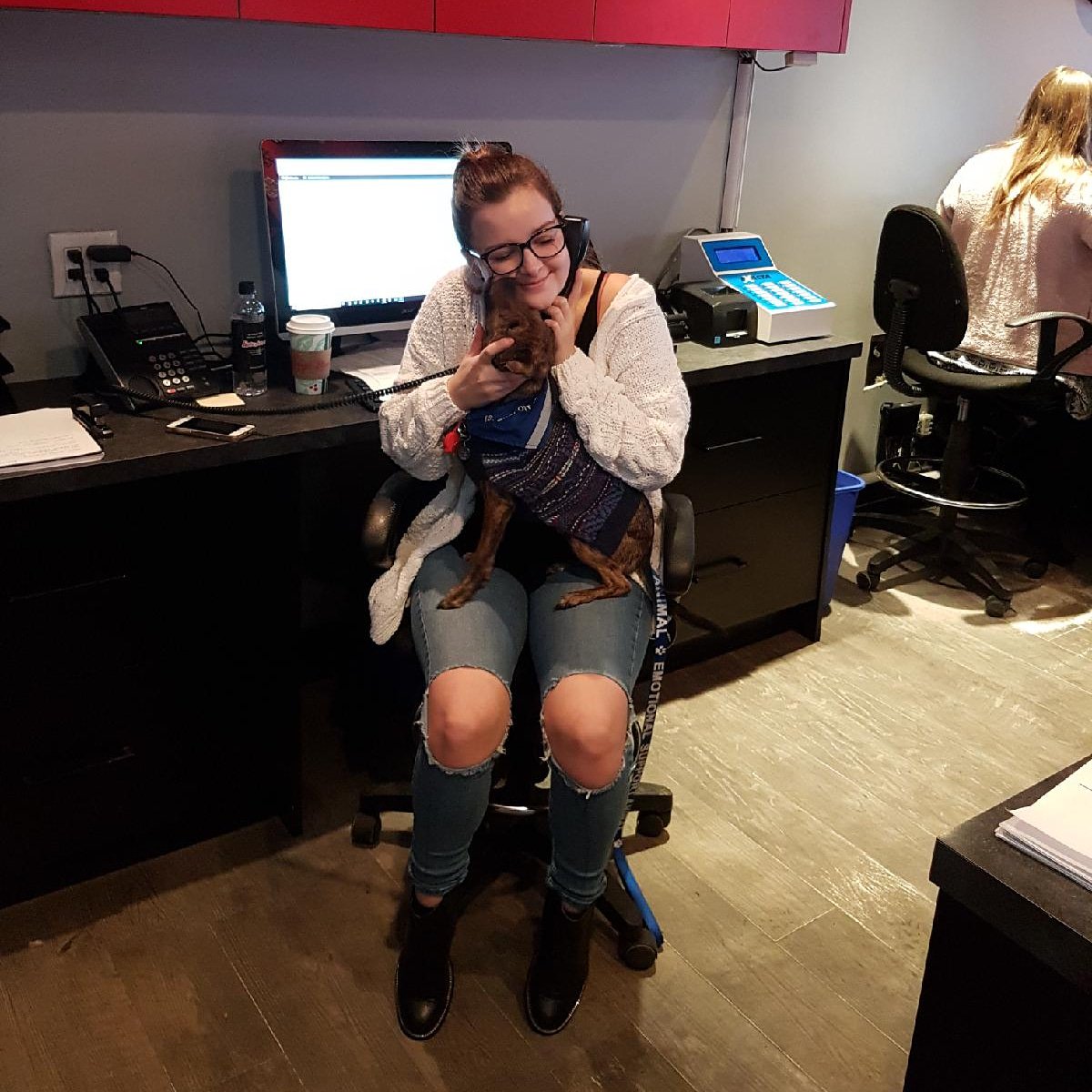 splashesauto's tweet image. Furry friends make our day 🐾 Come visit us before Christmas and ask about our gift card special!