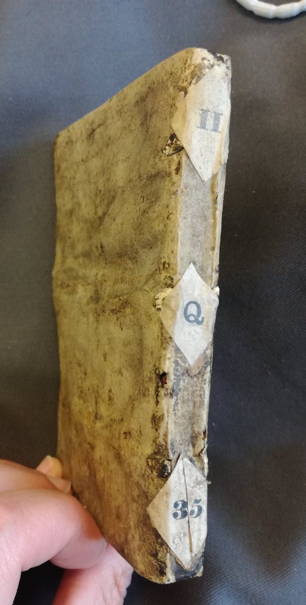 medievalbecky's tweet photo. De Phlebotomia (YML, II.Q.35, 1567). A beautiful tiny book which shows fragments of medieval manuscripts used to strengthen the binding and to cover the book 1/2 #medievaltwitter #earlymodern #medical #book #rarebooks #twitterstorians #speccol #binding #manuscript #manuscrit https://t.co/pbPZkBMkiZ