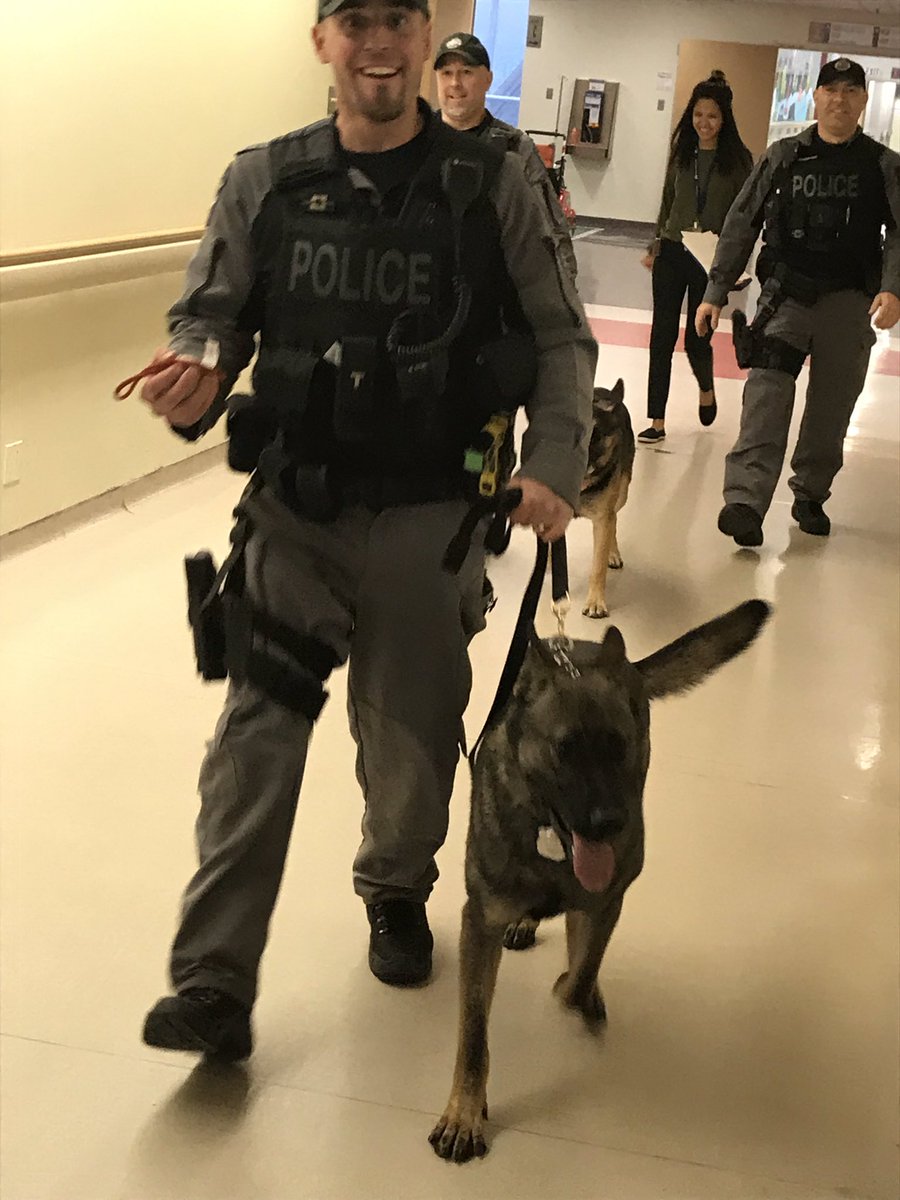 HPSCanine's tweet photo. It’s our annual Holiday visit to @mch_childrens Hospital #PSDArmour #PSDChase #PSDJake #PSDScout #HamOnt https://t.co/MHHU0K3MJe