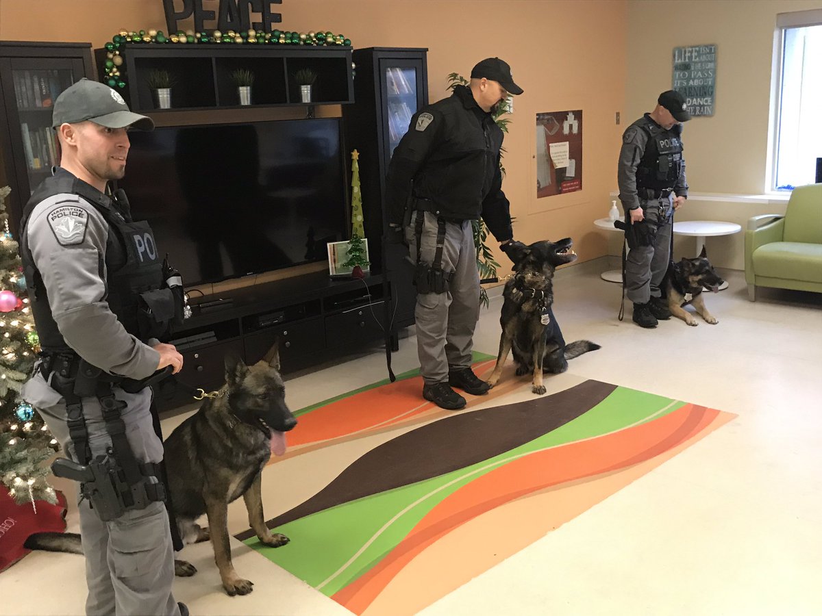 HPSCanine's tweet photo. It’s our annual Holiday visit to @mch_childrens Hospital #PSDArmour #PSDChase #PSDJake #PSDScout #HamOnt https://t.co/MHHU0K3MJe