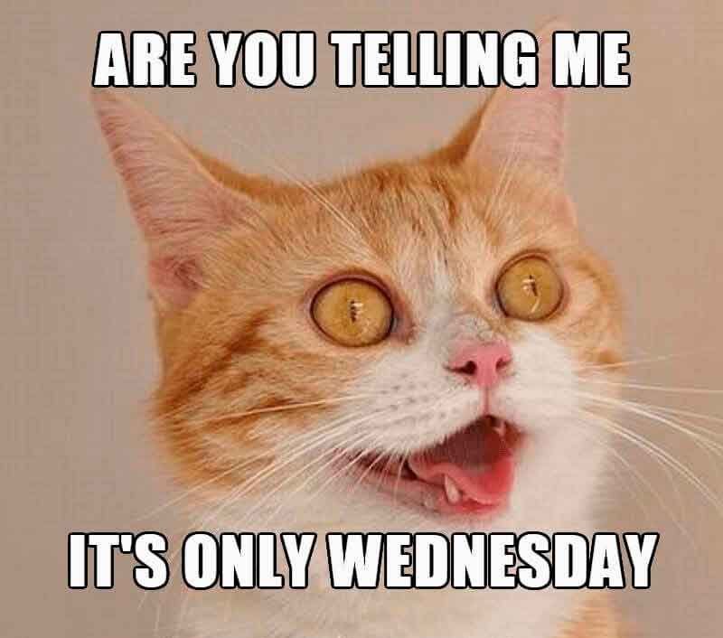 #chatter on Twitter: &quot;It's only #Wednesday?! #Meme #Memes #