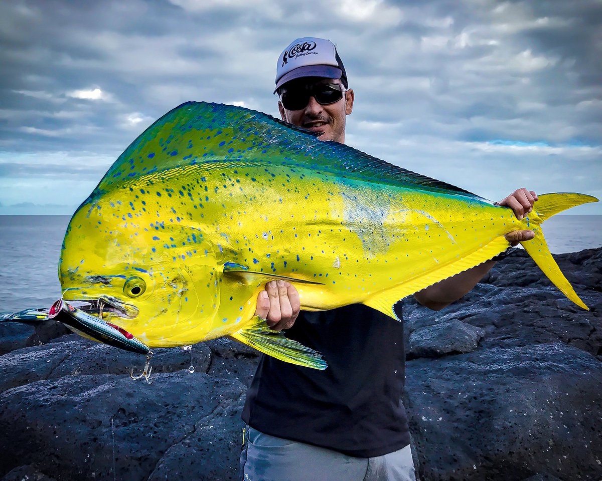 Seaspinlures's tweet photo. Il giallo è il colore dell’oro e il colore della felicità per un pescatore!
Yellow is the color of gold and the color of happiness for an angler!
#seaspin #mommotti #buginu #coixedda #proq #toto
https://t.co/djZHqLGLOo https://t.co/OoDoBA8rZA
