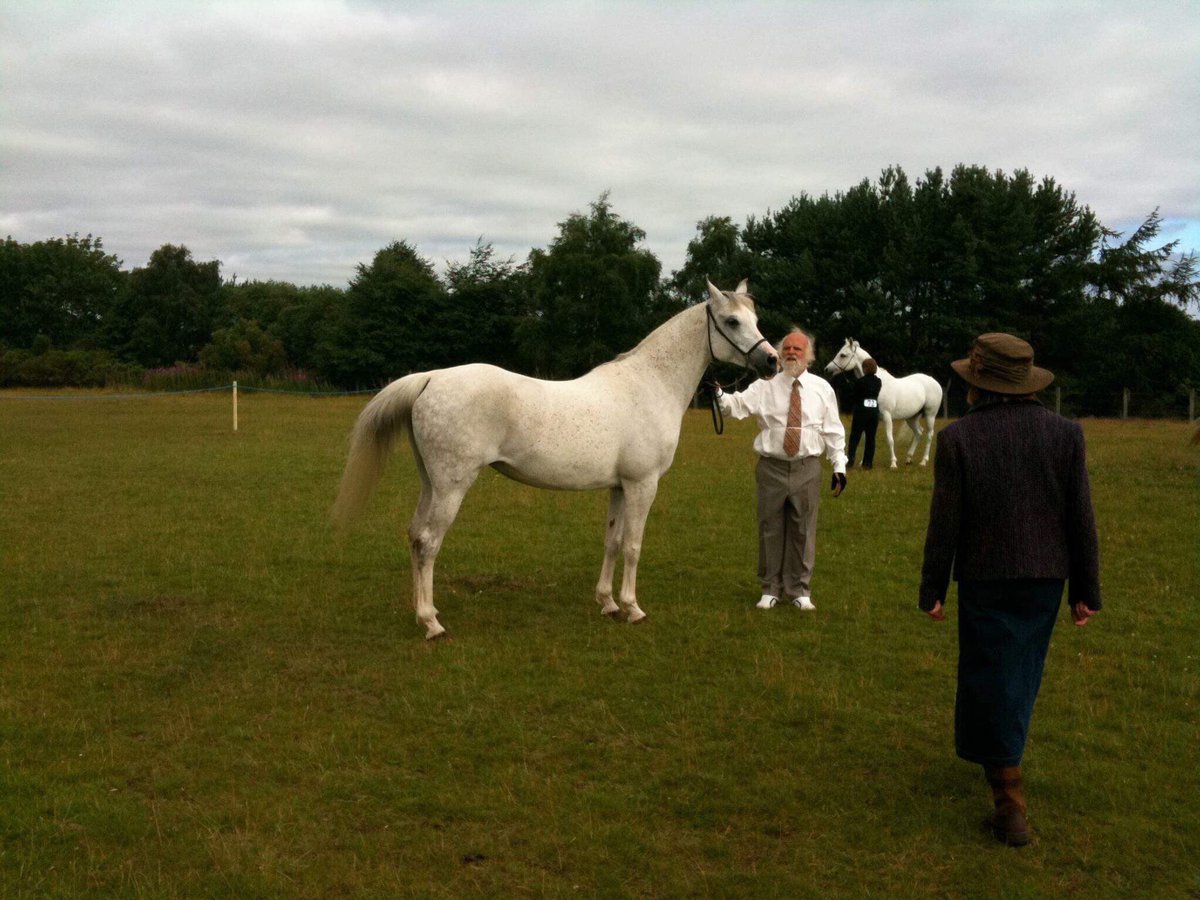 blackislestud's tweet photo. RIP our beautiful Ismene, who decided to cross the rainbow bridge this afternoon whilst snoozing in her box.  It was a privilege to be owned by this gorgeous lady. ❤️ https://t.co/GHVhJlzr1A