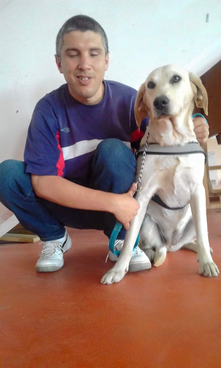 camilaramirezav's tweet photo. [HOY] la empresa CODESA de transporte negó el acceso de un perro guía a una persona ciega en Maldonado

Violó el art. 80 de la ley 18.651 que reconoce 
el derecho de toda persona con discapacidad a ser acompañada en lugares de acceso público y transporte público de un perro guía. https://t.co/qxuJyPSOSu
