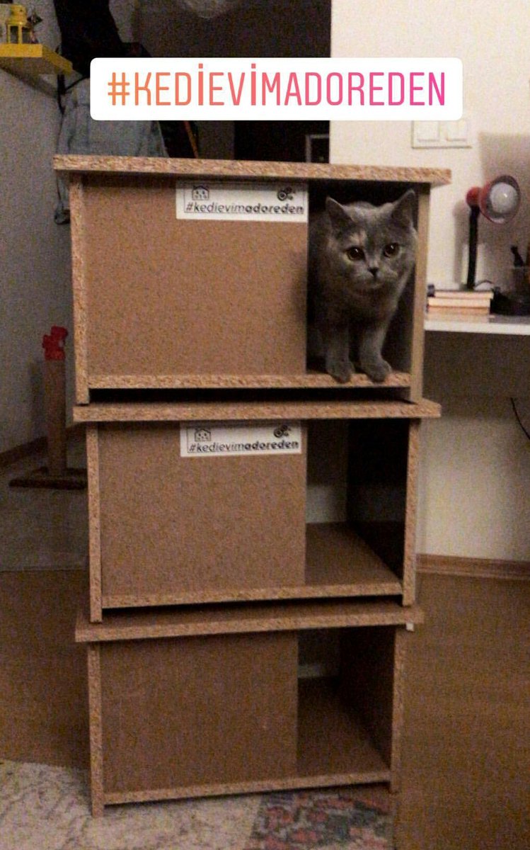 Çok Güzel Hareketler Bunlar 🐾
Bade Sultan onayladı tamamdır dedi 😻😻
#sokaktakicanlar için 🐾
<a href="/adoremobilya/">Adore Mobilya</a> <a href="/bahadirderici/">Bahadır Derici</a> #Çarşamba #patilidostlar #kış #kedievimadoreden