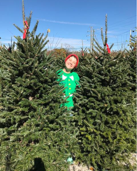 Our Trees are 20% OFF at our Tree Lot at @SwampRabbitCafe! #kingofpopsgvl #treeelves

Tues - Fri: 12pm - dark
Sat &amp; Sun: 9am - dark