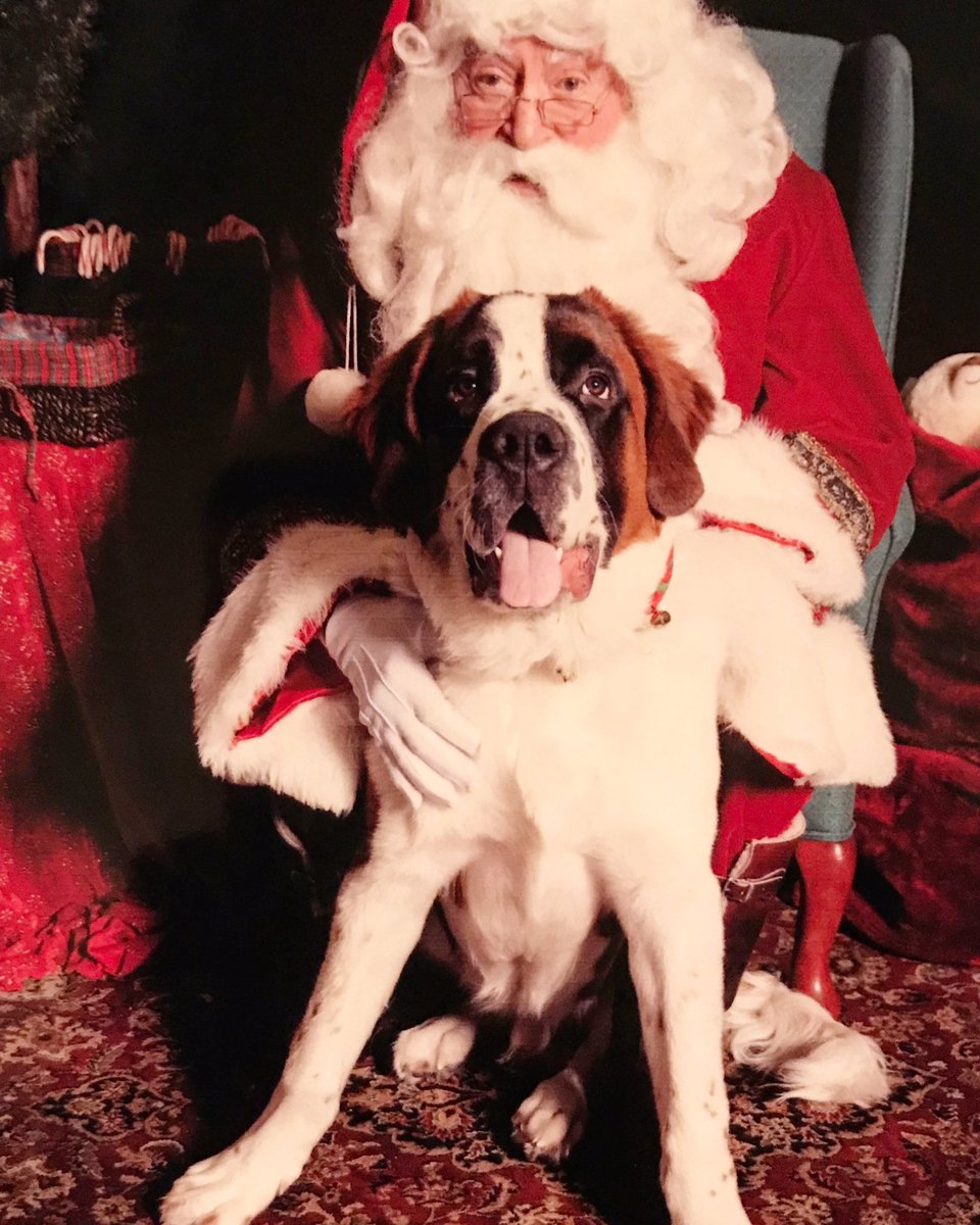 rsrunyan's tweet photo. Even 100# puppies deserve to sit on Santa’s lap for Christmas ❤️ https://t.co/0dF9KqVhn8