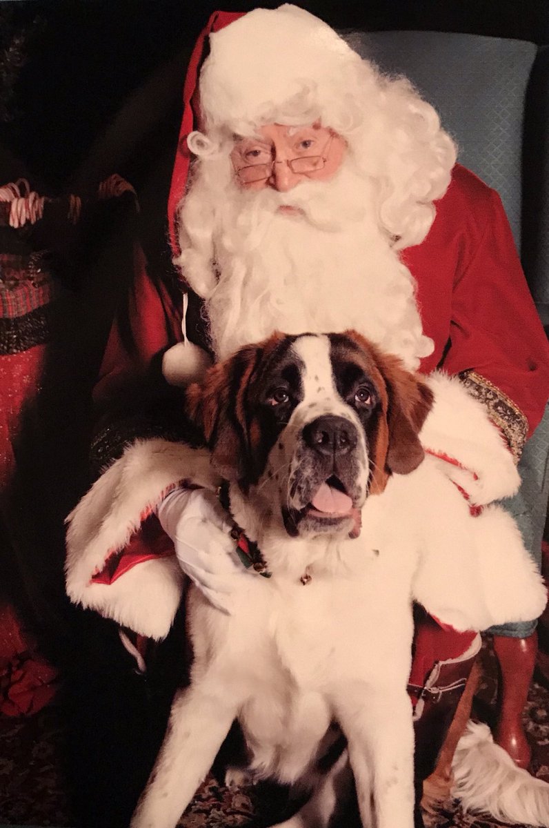 rsrunyan's tweet photo. Even 100# puppies deserve to sit on Santa’s lap for Christmas ❤️ https://t.co/0dF9KqVhn8