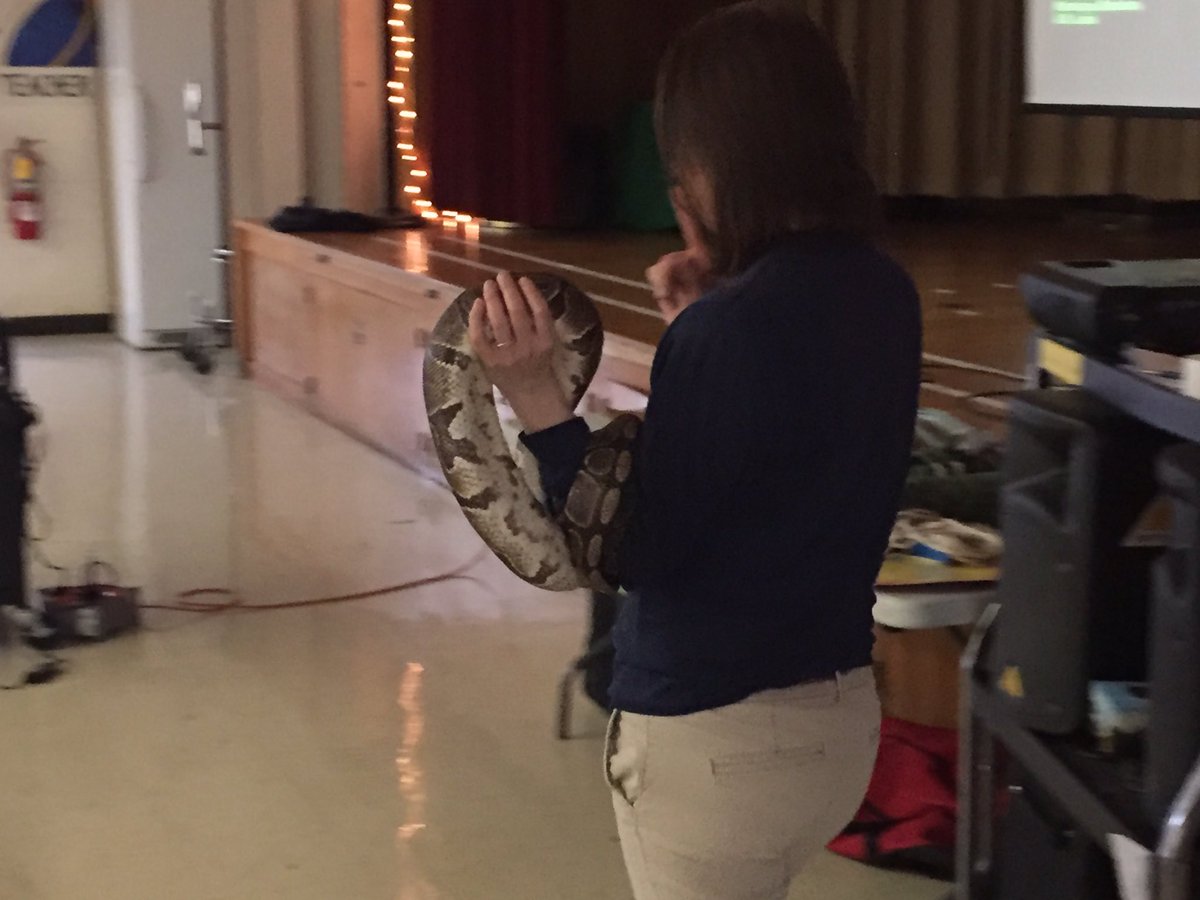 BVARostraver's tweet image. The zoo came to Rostraver Elementary!#radicalreptiles