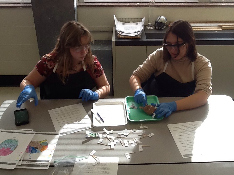 Buddy Wolf tweet media