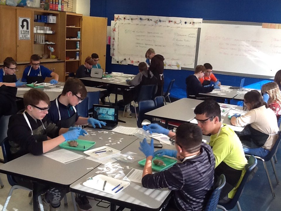 Buddy Wolf tweet media