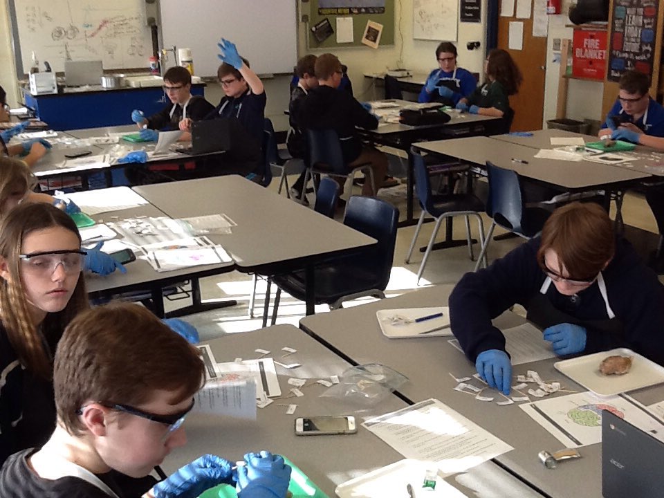 Buddy Wolf tweet media