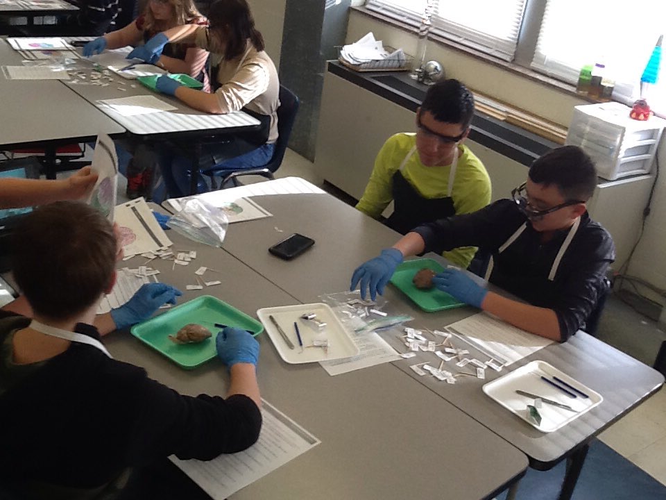 Buddy Wolf tweet media