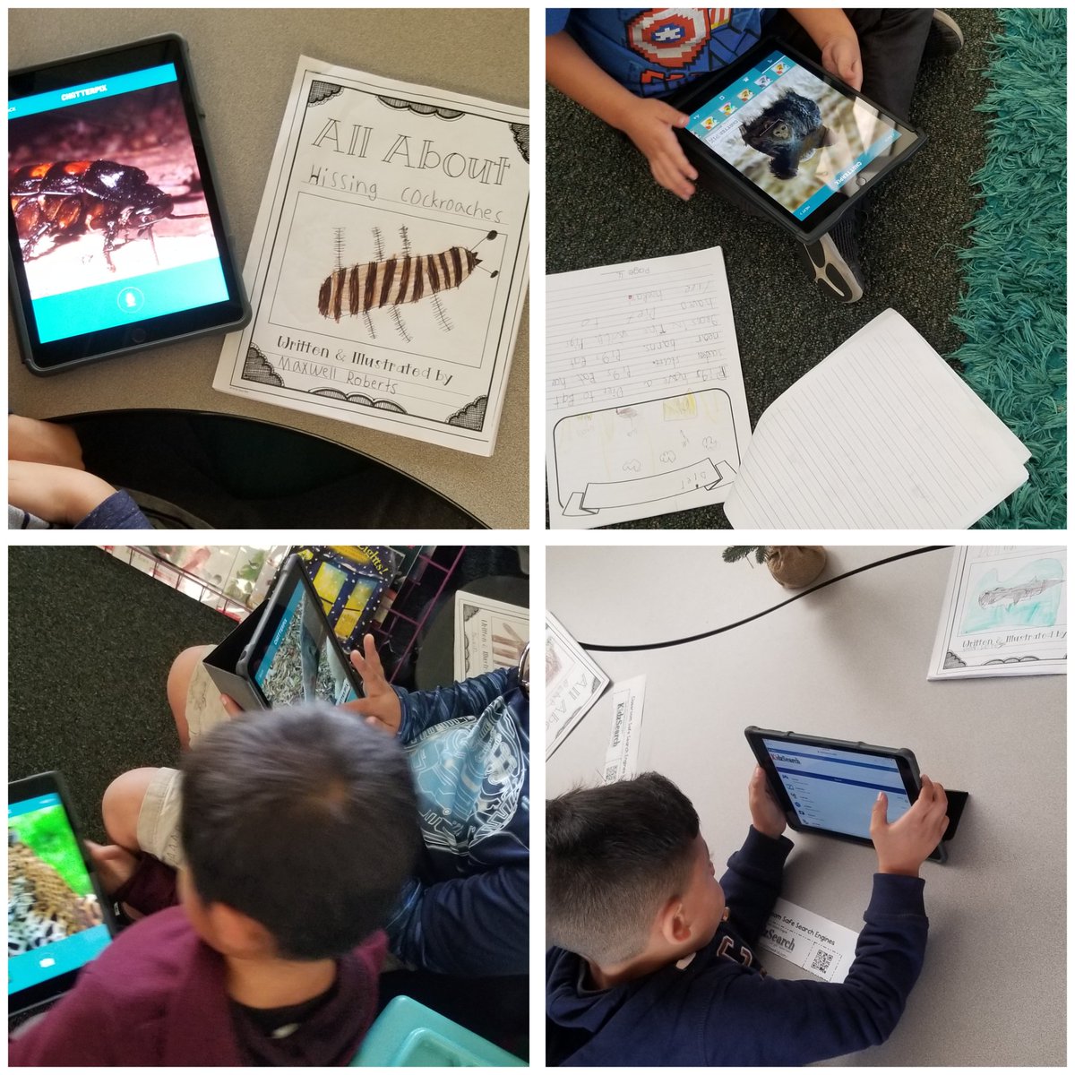 Ss are bringing their All About Books to life by publishing with @ChatterPixIt talking animals what could be better #WeAreTUSD #TUSDThrives @TeamLomaVista @tustinconnect 🐖🦒🦈🐊 #nonfictionwriting