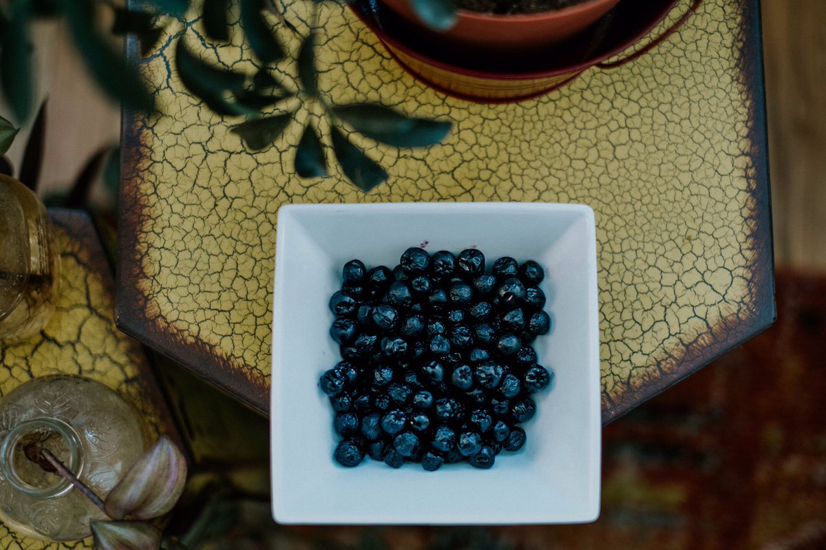 truronia's tweet photo. Did you know Aronia berries have 3X more antioxidants than blueberries? https://t.co/NICI4L7SKG