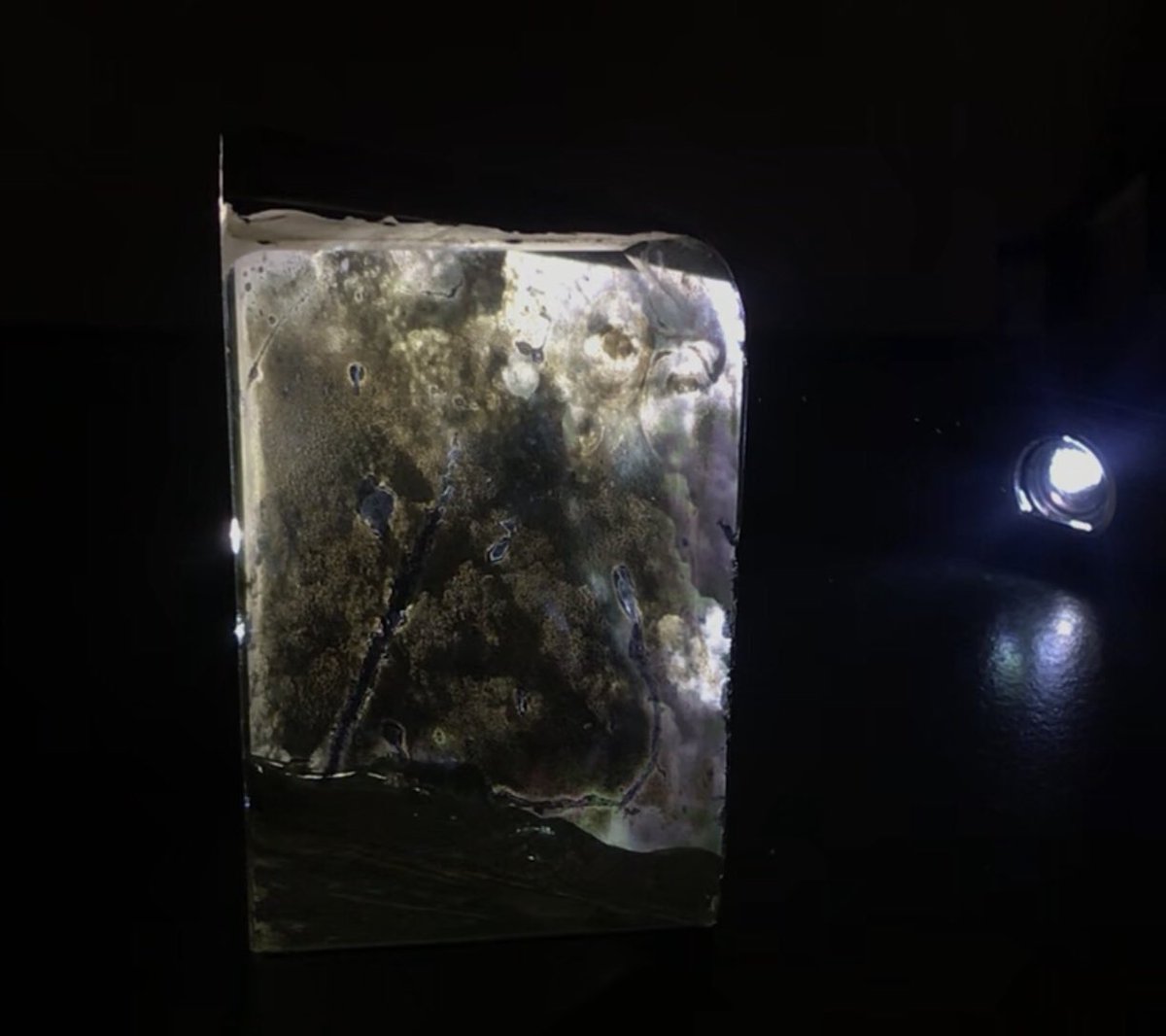 TCDcreates's tweet image. &apos;Future Breath,&apos; an exhibition by artist @SioMcDonald launched tonight @SciGalleryDub and is open to the public until 15th December. A collaboration with @TCD_NatSci @JenniferMcElwa3 #trinitycreativechallenge