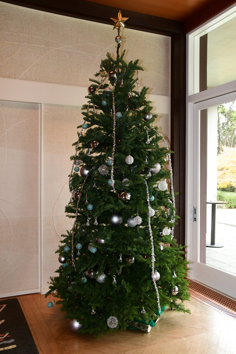 フランス大使館 フランス大使公邸にクリスマスツリーが飾られました 本物のもみの木を使っています みなさんも お気に入りノエル のハッシュタグをつけてツリーの写真を投稿してください いちばん素敵な作品を撮られた1名の方には 大使館から フランス大使館 フランス大使公邸にクリスマスツリーが飾られました 本物のもみの木を使っています みなさんも お気に入りノエル のハッシュタグをつけてツリーの写真を投稿してください いちばん素敵な作品を撮られた1名の方には 大使館から