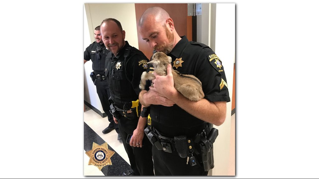 Officers rescue baby goat on.11alive.com/2RTVDpT https://t.co/gUI2uZ2zuF