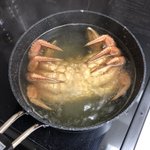 ハーゲンダッツ美味しそー...って、全然違うじゃん!ハーゲンダッツ味の蟹なのか？？!