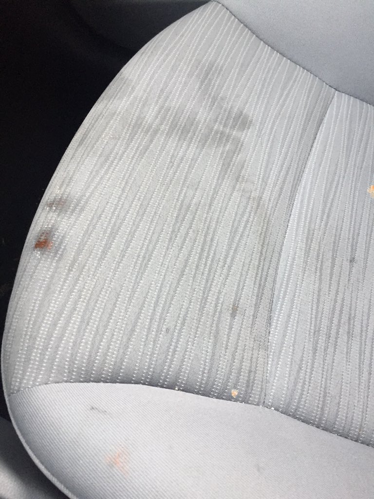 Vanesha McGee tweet media