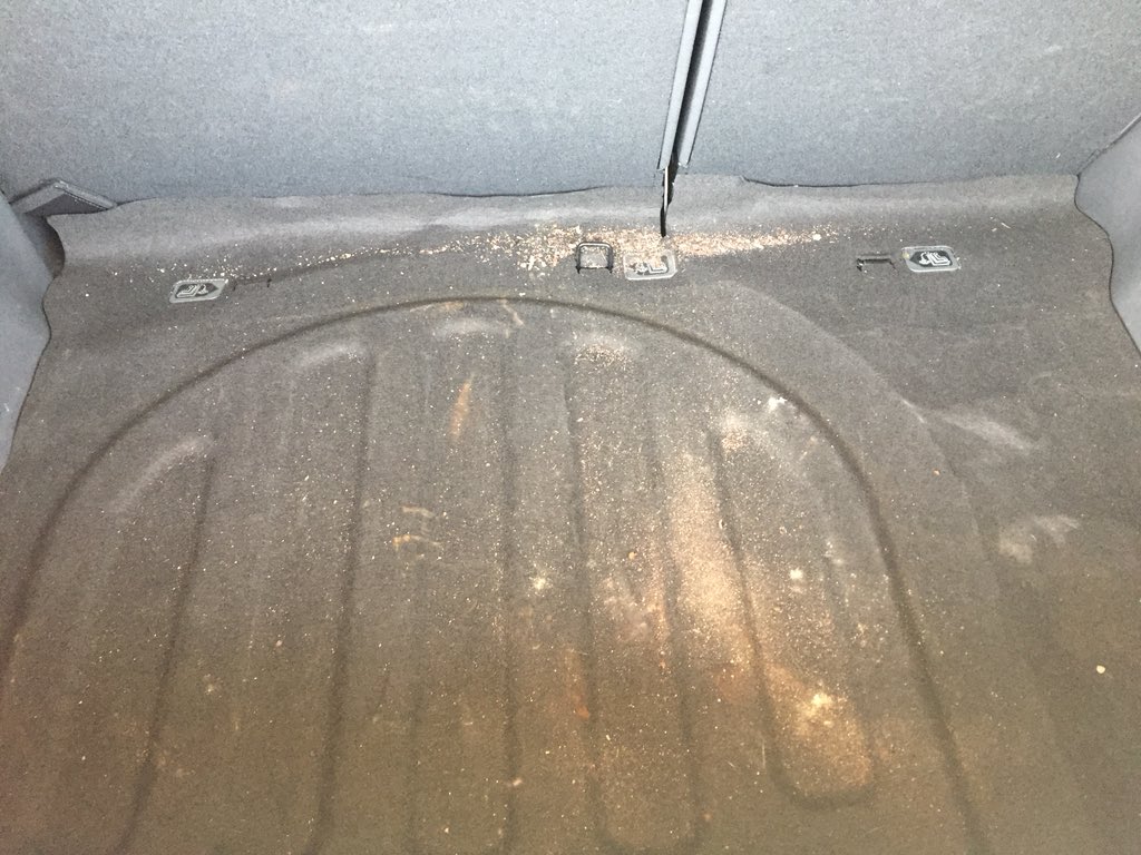 Vanesha McGee tweet media