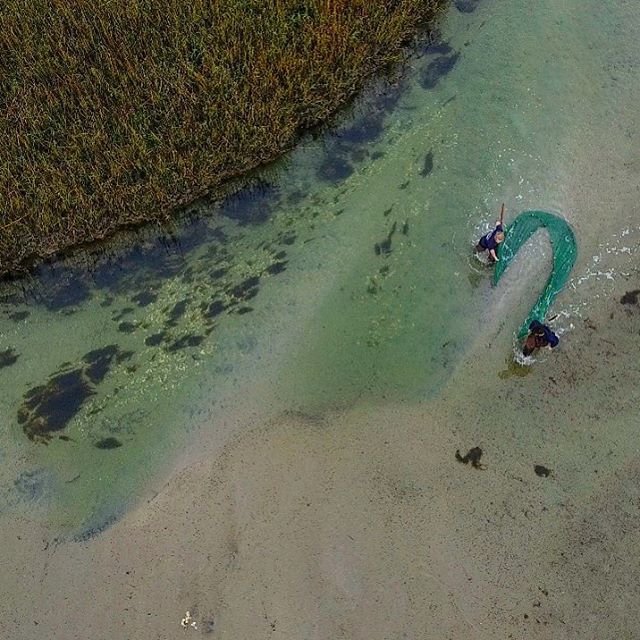 HendyStreetPros's tweet photo. Fun playing in the marsh with Marine Tech students today from Cape Fear CC for an upcoming commercial spot! #dronin🐟 https://t.co/THM07D6ye2 https://t.co/51LYZ4FcRj