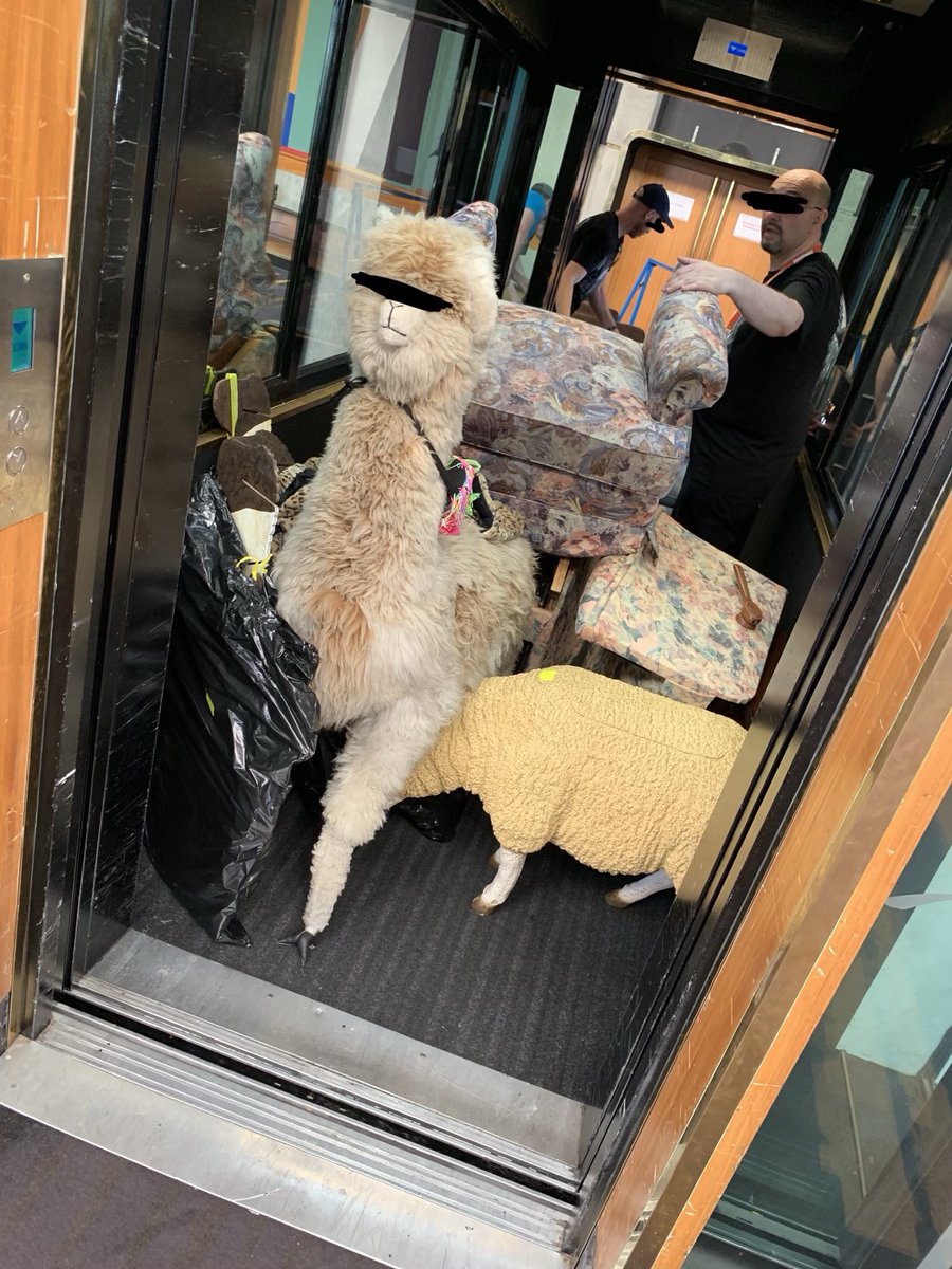 Didn’t get to spend enough time with the Kiwicon llama this year? The facility where we keep our VALUABLES went out of bidnis and we have to move all our ASSETS out. We could do with a few extra hands sat morn in Welly. If you’re into livestock and manual labour, drop us a line.