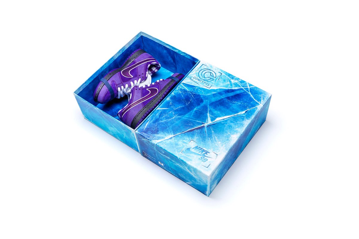 cncpts purple lobster