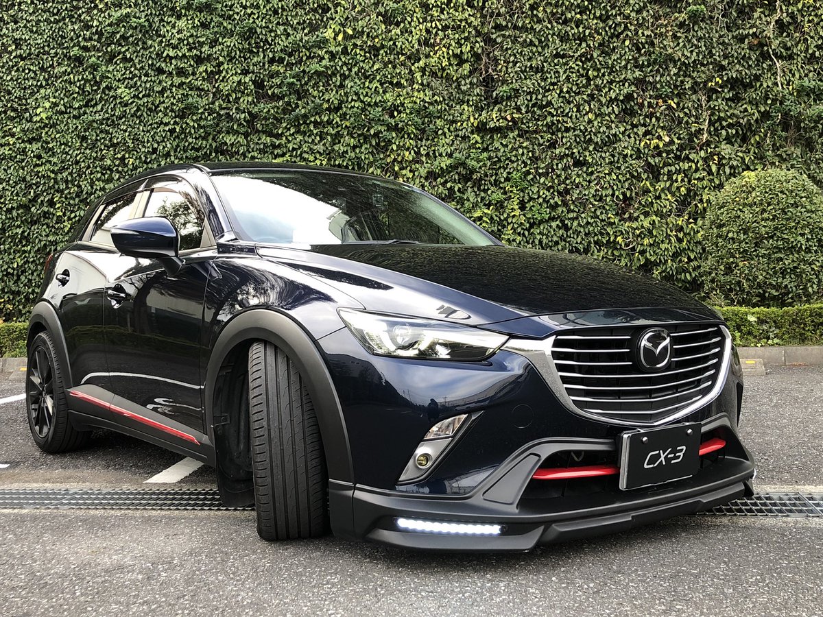 コンプリート Cx 3 車 高調 武茂壁