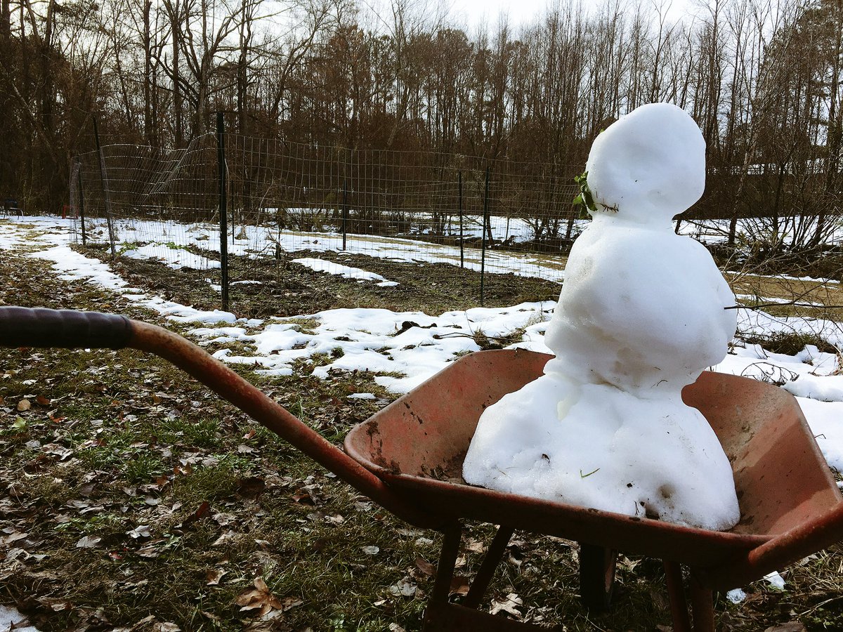 SOLGardenncsu's tweet photo. The semester is winding down and so is our residence at the old Lake Raleigh location. But someone was nice to build us a snowman to see us off! https://t.co/F30QimCSlV