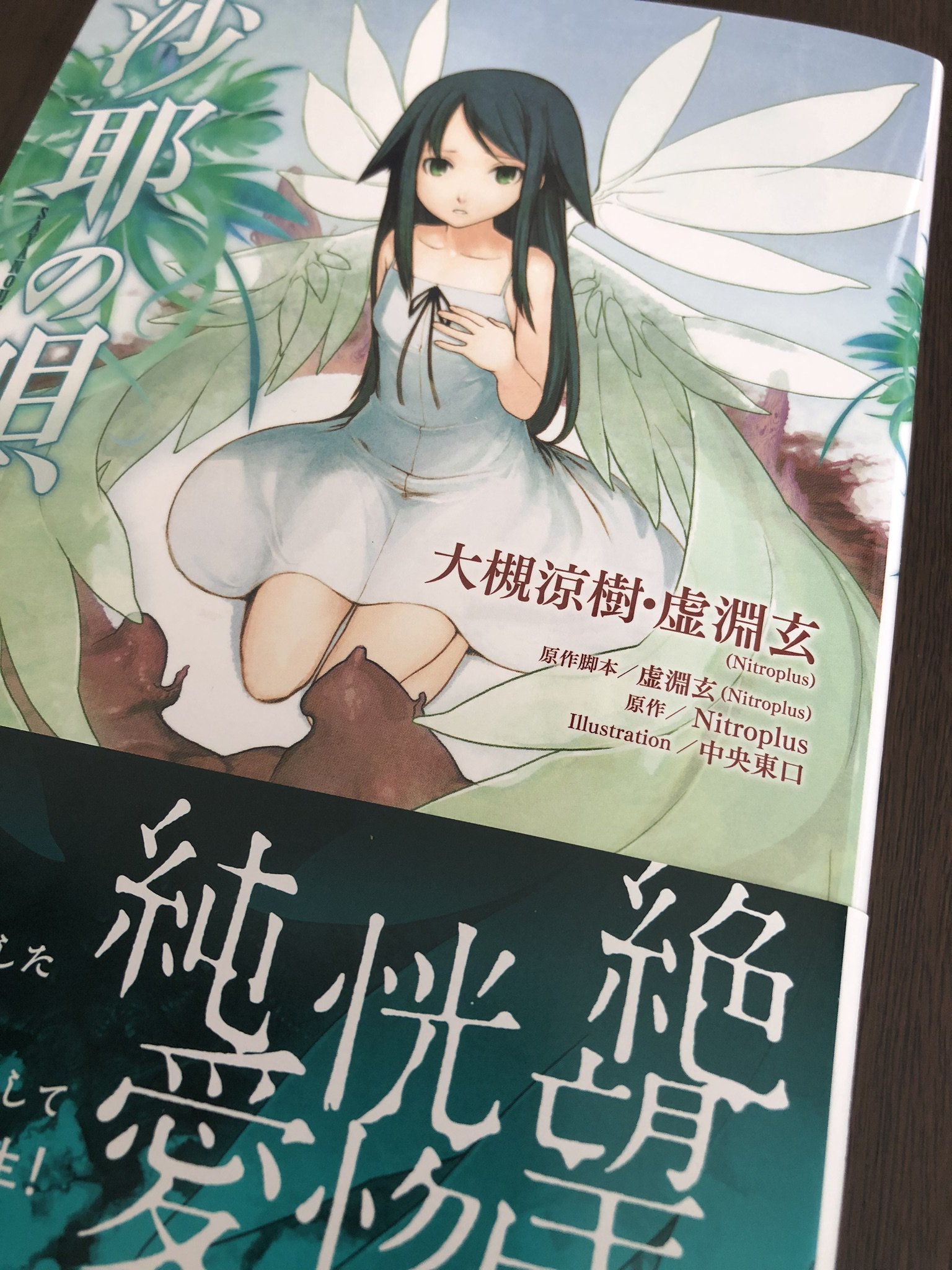 大槻涼樹 W ｵｵﾂｷｽｽﾞｷ Pa Twitter 見本誌が届きました 沙耶の唄 中央東口氏の挿画もフルカラーで贅沢よなー 中にはちょっとだけ赤っぽい絵もあるけど 耐性ない方でも大丈夫程度です T Co Eosin1khma Twitter