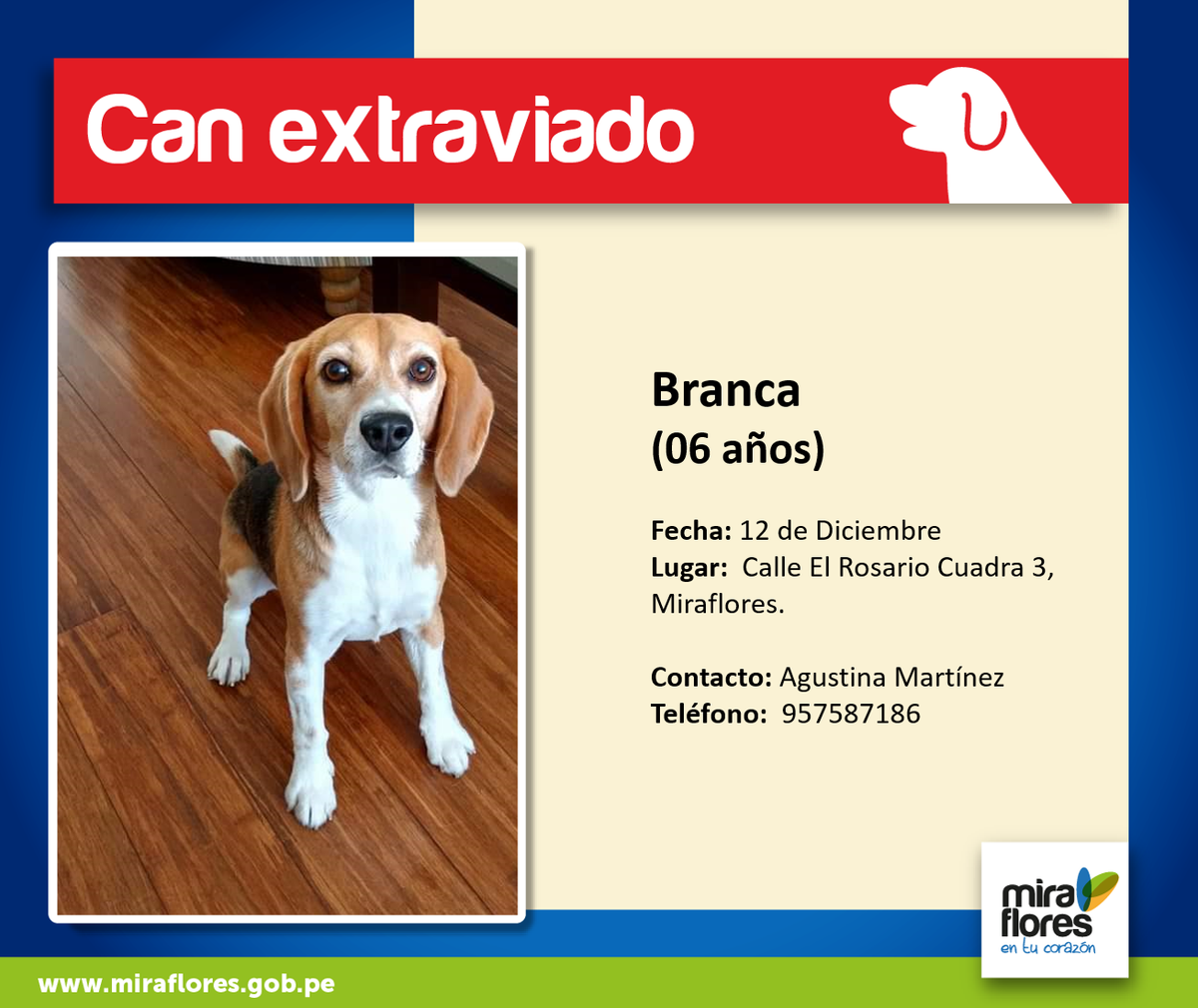 miraflores24h's tweet photo. #CanExtraviado Dale RT y Difunde por favor, ayudemos a Branca a volver a casa. https://t.co/p4RSk2nVTt