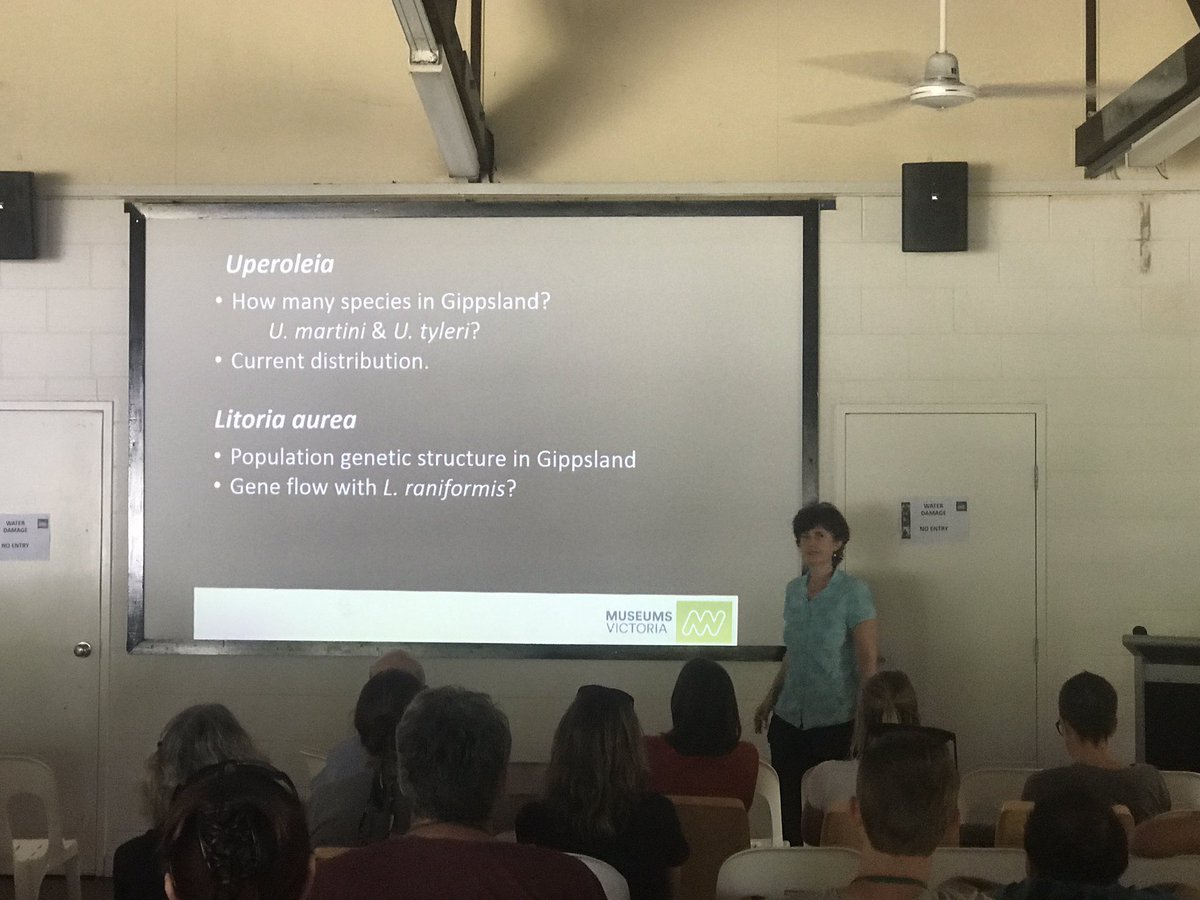 SVMahony's tweet photo. Jane Melville shedding further light on Uperoleia south of my poster, in Victoria. #ASHNZ18 https://t.co/21p9CyDuLv