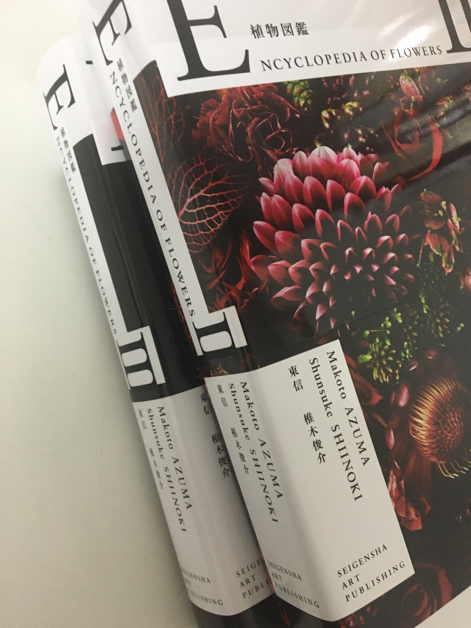 青幻舎 Auf Twitter 東信著 Encyclopedia Of Flowers 植物図鑑 重版出来 第2巻3刷 第3巻2刷 比類なき美しさと圧倒的なポリューム 現代における植物図鑑 植物名完備 索引付 デザイン 原研哉 待望の第4巻は来春刊行予定 T Co Lv9l81wlvv Twitter
