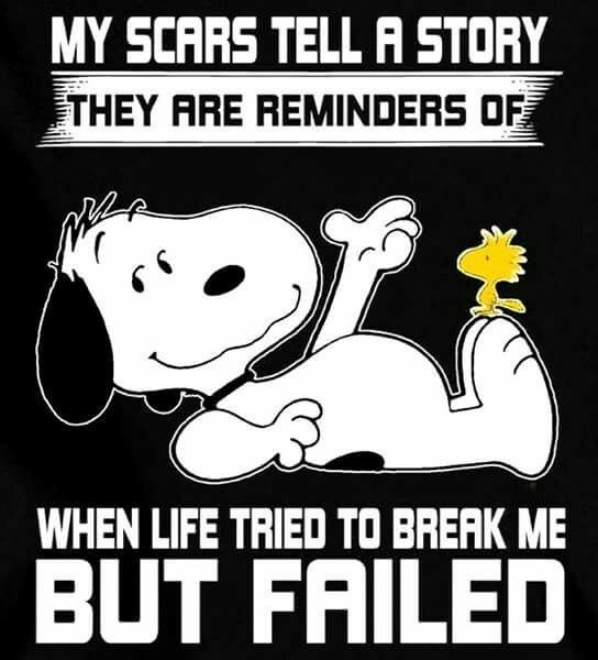 TrusclairI's tweet image. 