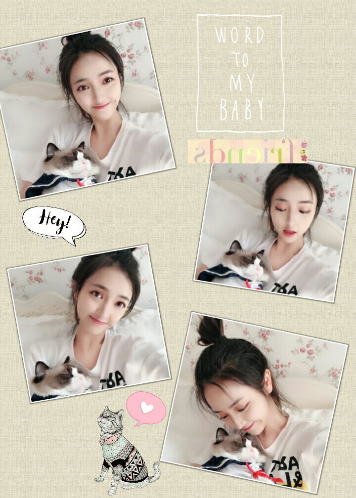 DouHenxi's tweet photo. 🐱🐱🐱
 💰儿子—糯米 https://t.co/op2etnAsN8