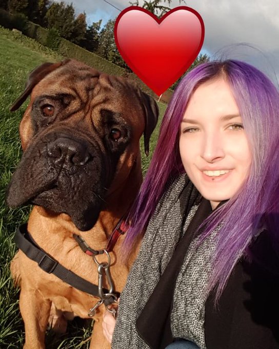Guten Morgen meine lieben &hearts;  #Sun #Dog #Bullmastiff #Doglove #Spaziergang #Natur #instadog #Ronnie #Bully<a href="/tag/sun"class="tags">#Sun</a><a href="/tag/dog"class="tags">#Dog</a><a href="/tag/bullmastiff"class="tags">#Bullmastiff</a><a href="/tag/instadog"class="tags"><span>#instadog</span></a><a href="/tag/bully"class="tags"><span>#bully</span></a><a href="/tag/doglove"class="tags"><span>#doglove</span></a><a href="/tag/natur"class="tags"><span>#natur</span></a><a href="/tag/spaziergang"class="tags"><span>#spaziergang</span></a>