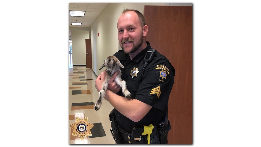 Police officers rescue baby goat in Forsyth County on.11alive.com/2RTuHGQ https://t.co/C2Vc2LeNt9