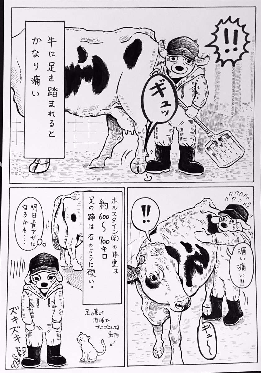 『痛い痛いと言ってるだけの漫画?』

漫画の中では痛い痛いと言ってるだけですが…

実際に牛と壁に挟まれたり、ツノで突かれて病院に運ばれる事もあります?

入院する程の大怪我になる事もあります?

亡くなられた方もいます。

明日… 