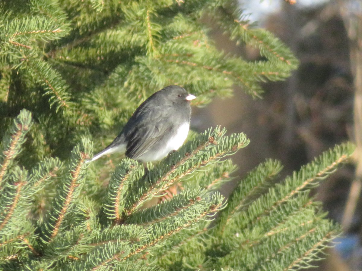 PLKlein_Author's tweet photo. "It is always more important to be kind than to be right." ~ #RichSimmonds #QuickQuotes #ThinkingOutLoud #ThursdayThoughts #ThursdayMotivation #ThursdayMorning #Always #Important #Kind #Kindness #Right https://t.co/hXbgj7ETat