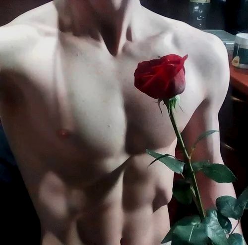 PNlCADIS's tweet image. ⠀⠀⠀
⠀⠀ ⠀⠀                                                — ♧ — 
                                                   a rose for a date?
⠀⠀